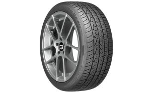 General g-max as-05 P215/55R17 94W Tire