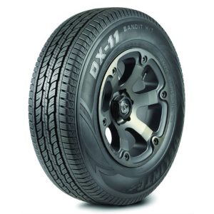 Delinte DX-11 P255/55R18 109W All-Season Tire