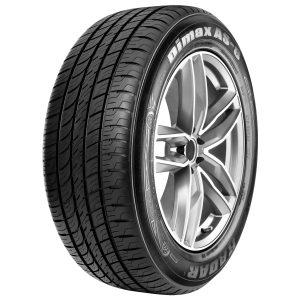 Radar Dimax AS-8 255/40R20 101W XL All-Season Tire