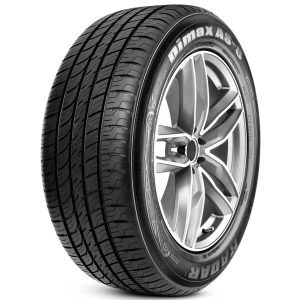 Radar Dimax AS-8 235/55R19 105V XL All-Season Tire