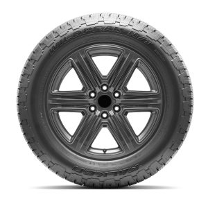 Falken Wildpeak H/T02 255/70R18 113H Tire