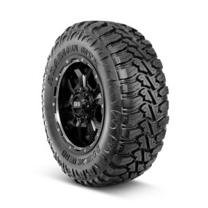 Nexen Roadian MTX RM7 LT285/70R17 121Q Load Range E All-Season Tire