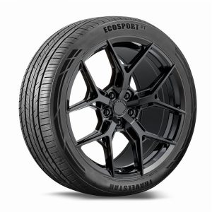 Travelstar Ecosport GT 295/35R21 107V Tire