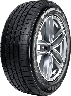 Radar Dimax AS-8 265/65R17 112H Tire