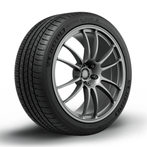 Michelin Pilot Sport All Season 4 255/40ZR17 98Y XL Tire